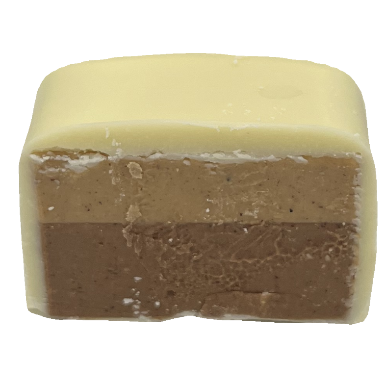 Bicolore